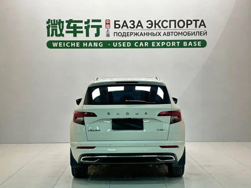 kemike kodiaq
