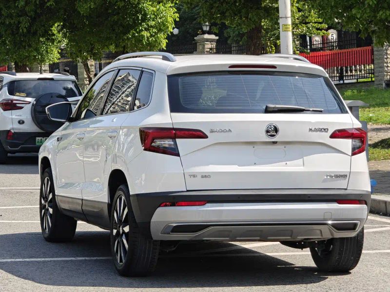 kemike kodiaq