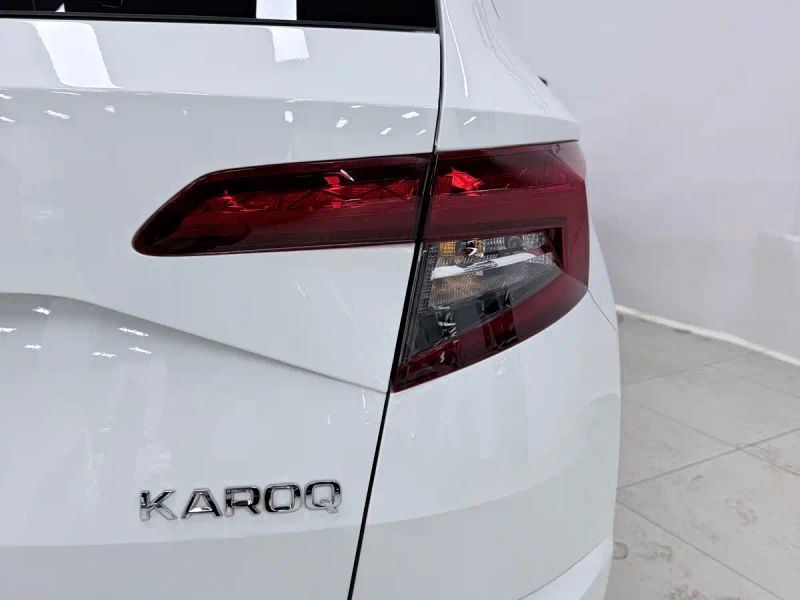 kemike kodiaq