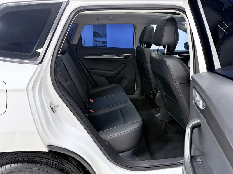 kemike kodiaq