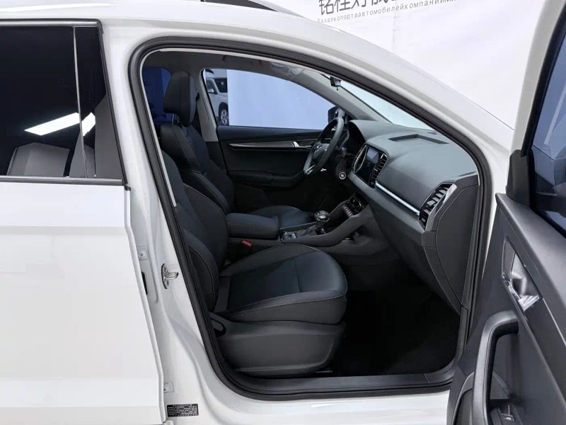 kemike kodiaq
