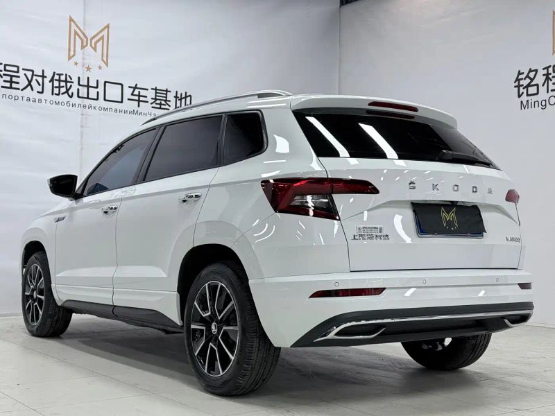 kemike kodiaq