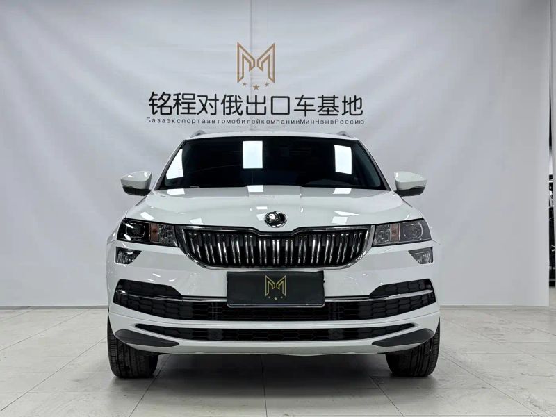 kemike kodiaq