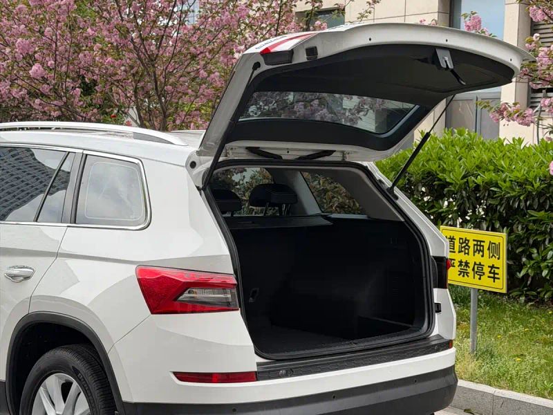 kemike kodiaq