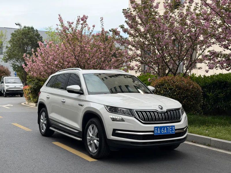 kemike kodiaq