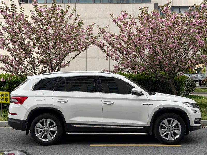 kemike kodiaq