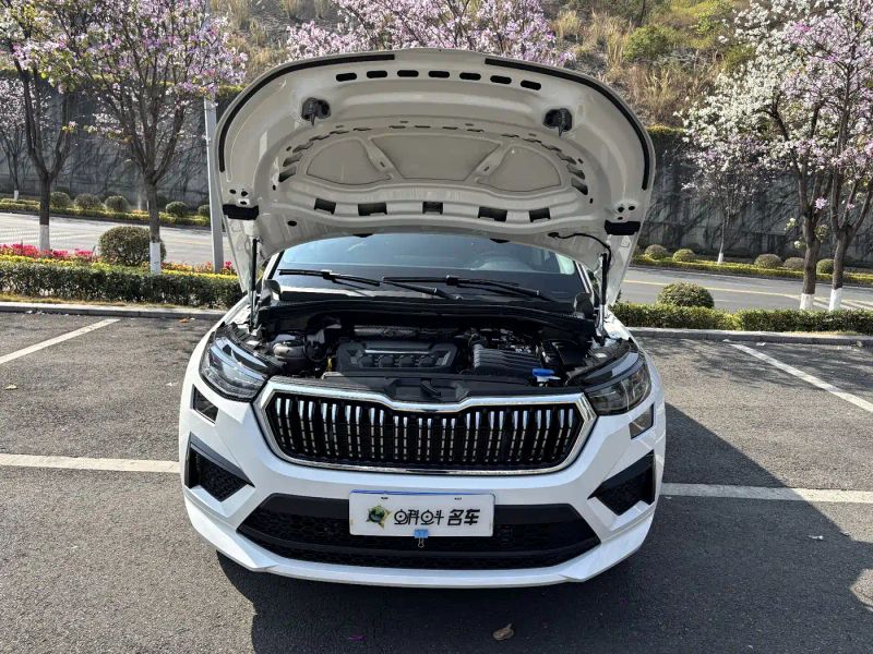 kemike kodiaq
