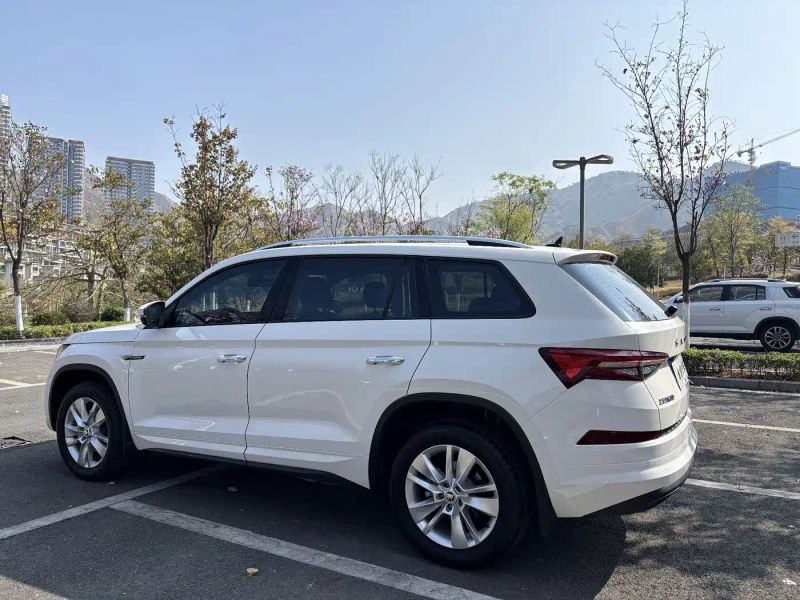 kemike kodiaq
