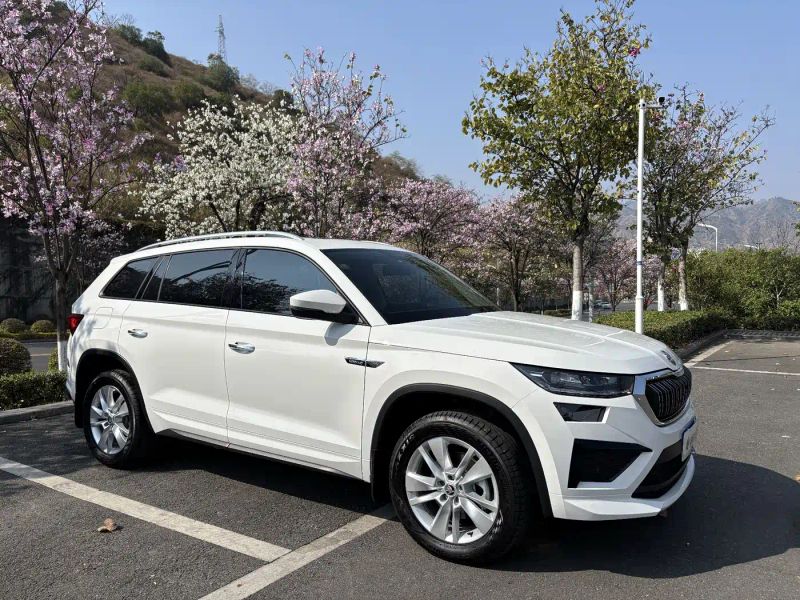 kemike kodiaq