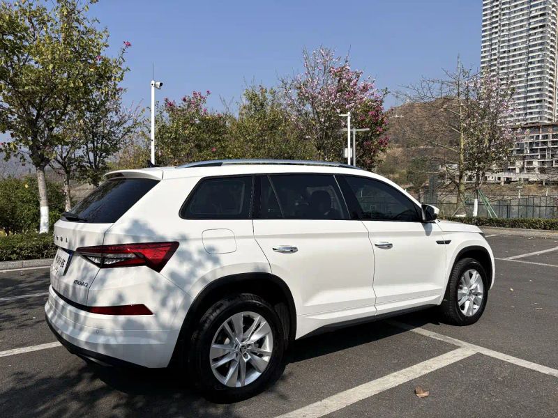 kemike kodiaq