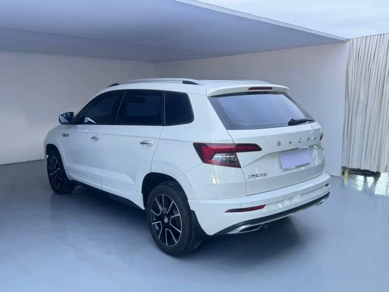kemike kodiaq