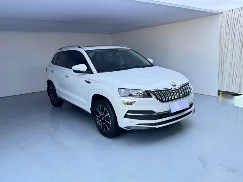kemike kodiaq