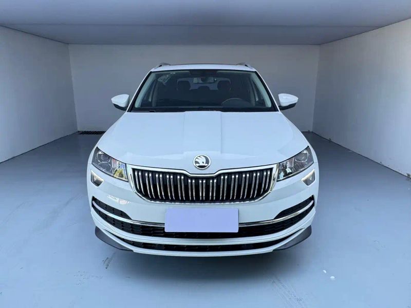 kemike kodiaq