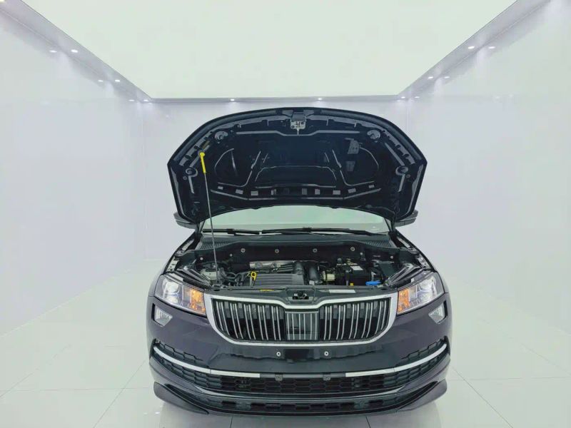 kemike kodiaq