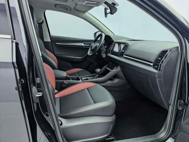 kemike kodiaq