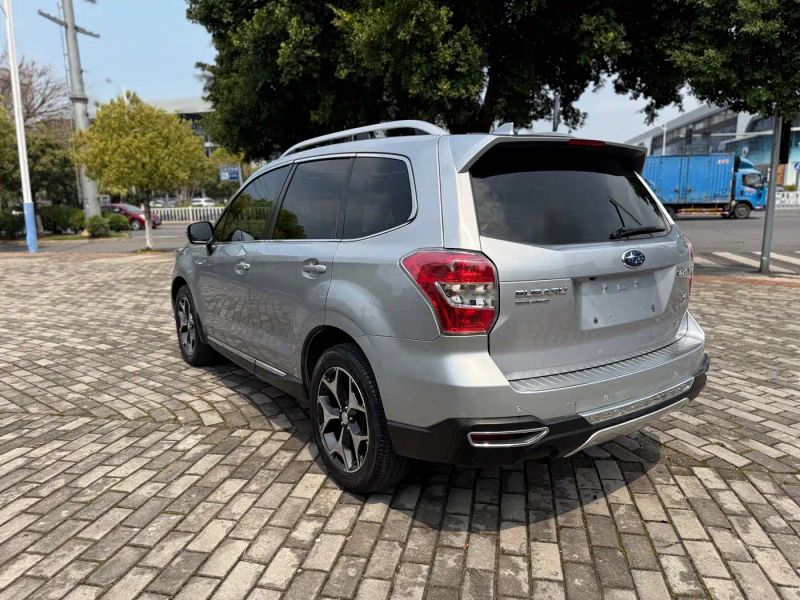 forester forester