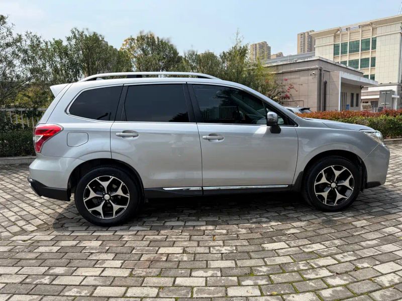 forester forester