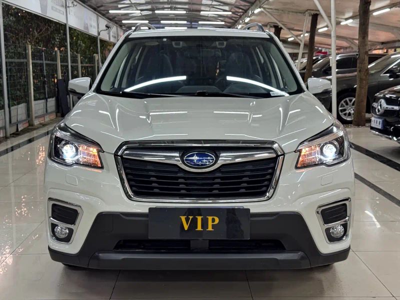 forester forester