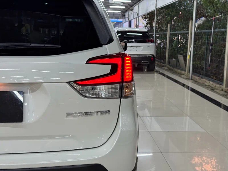forester forester