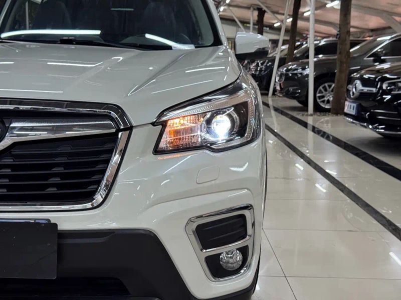 forester forester