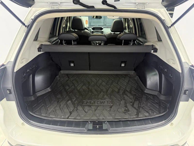 forester forester