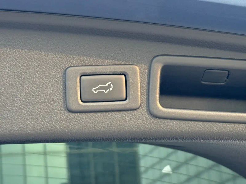 forester forester