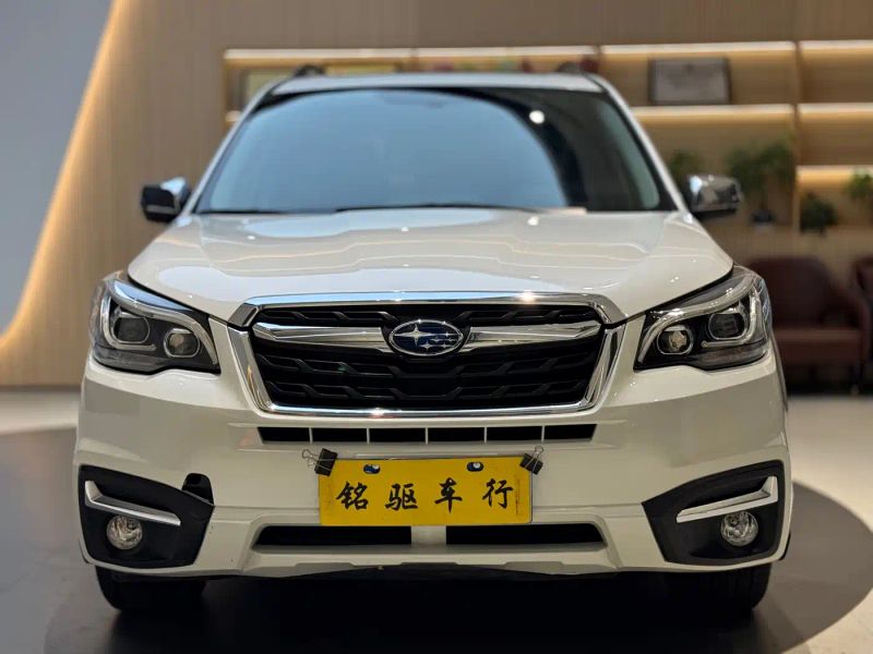 forester forester