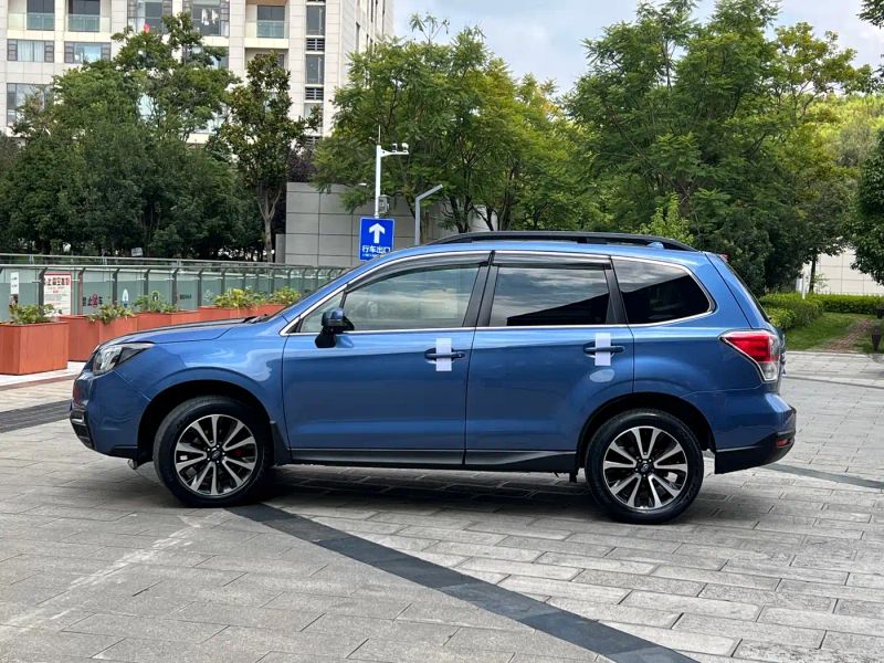 forester forester