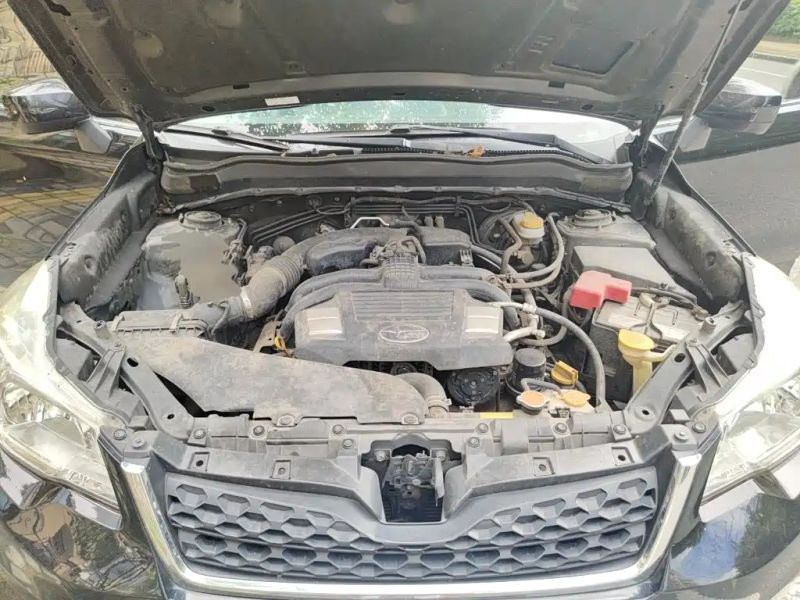 forester forester