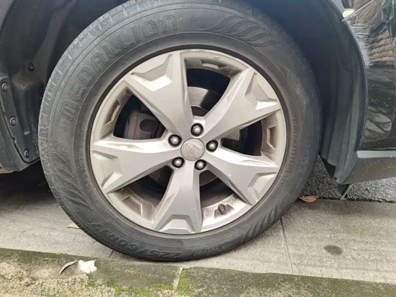 forester forester