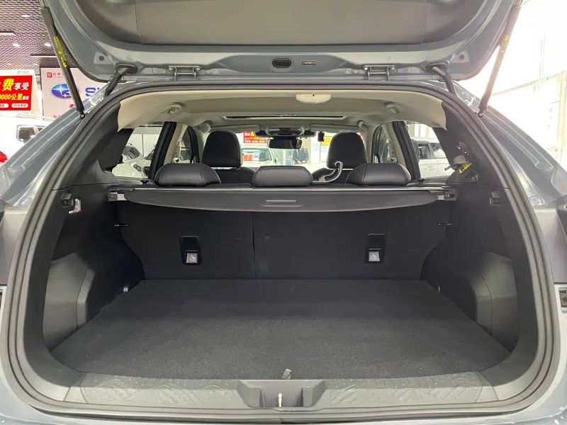 forester x-leap