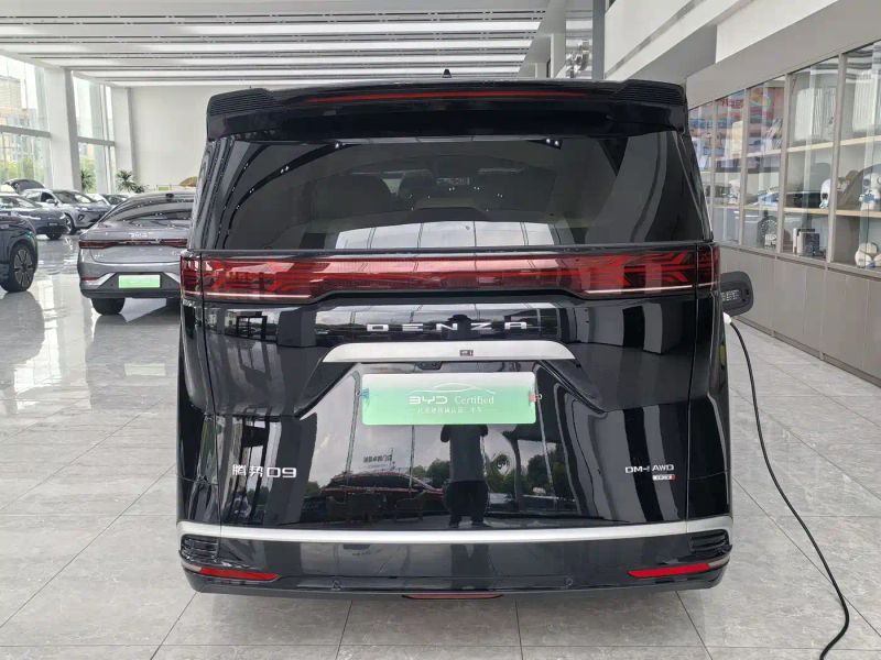 Denza d9