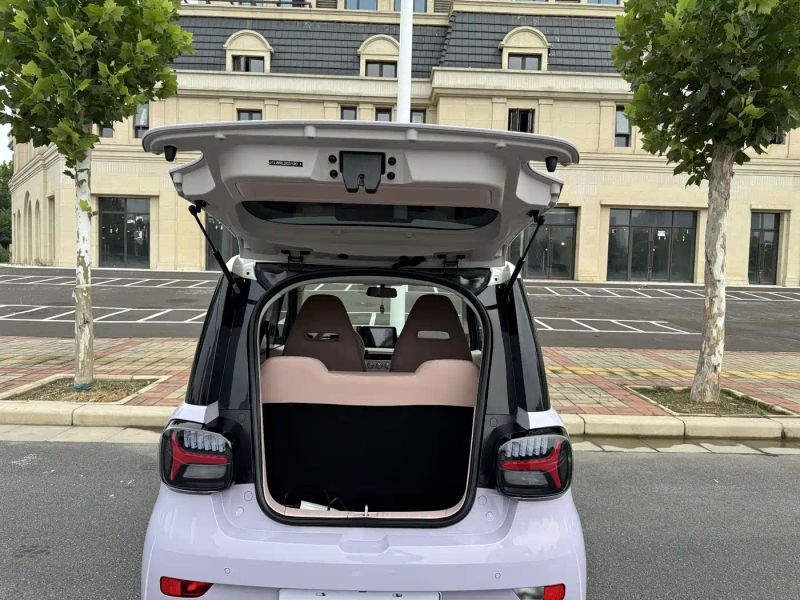 Zotye caihong