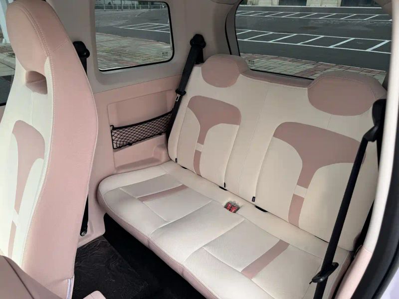 Zotye caihong