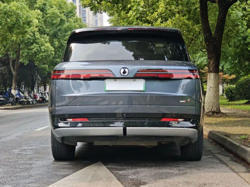 Denza n9