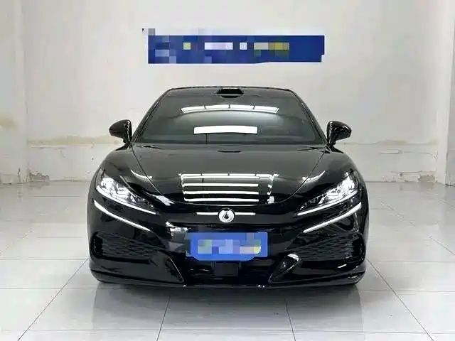 Denza z9gt