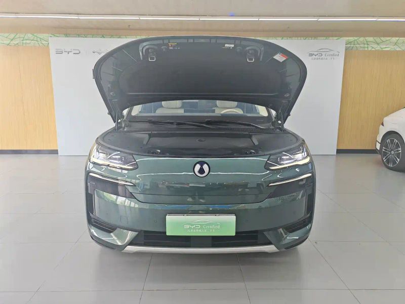 Denza n9