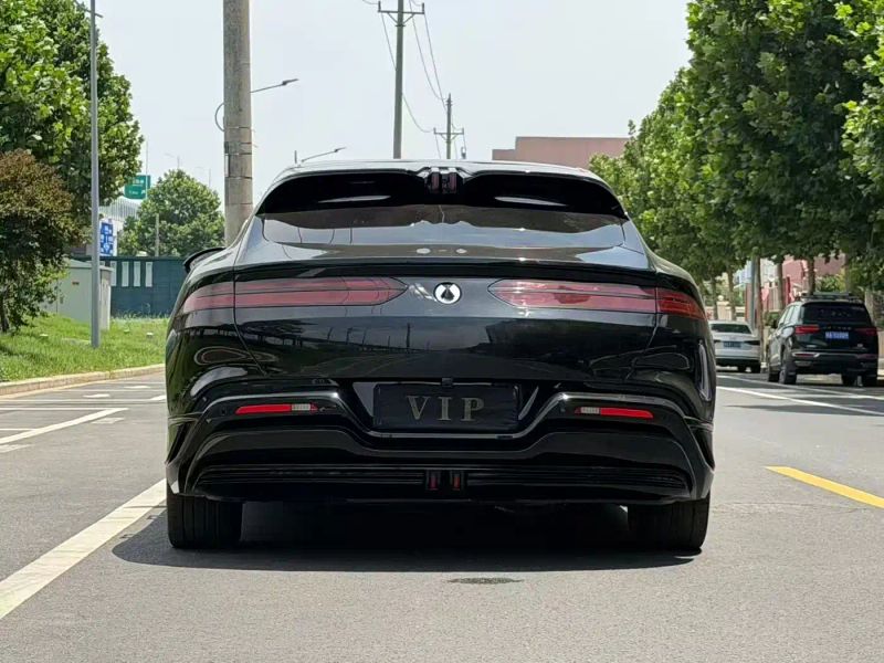 Denza z9