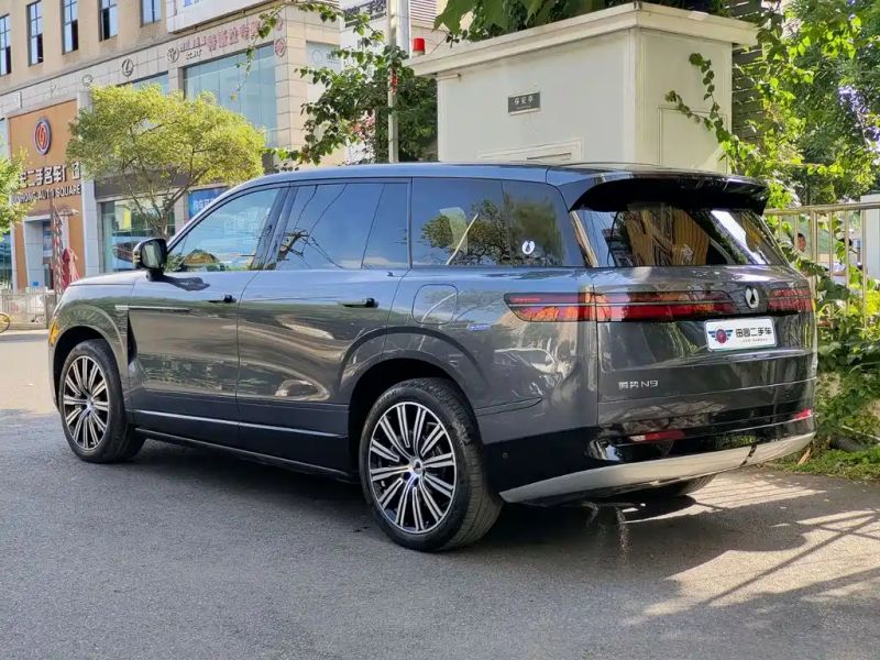 Denza n9