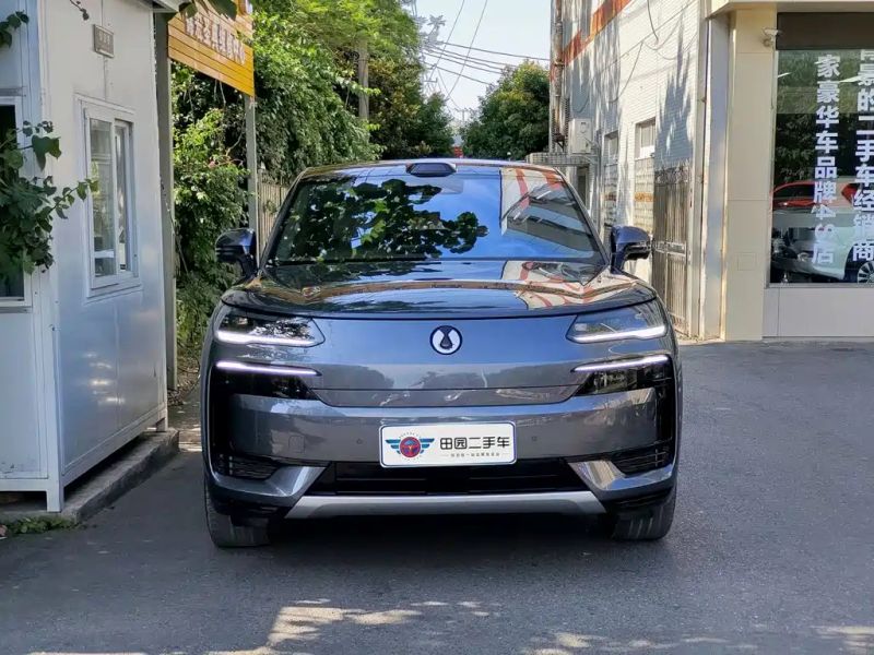 Denza n9