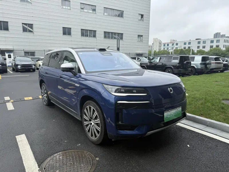 Denza n9
