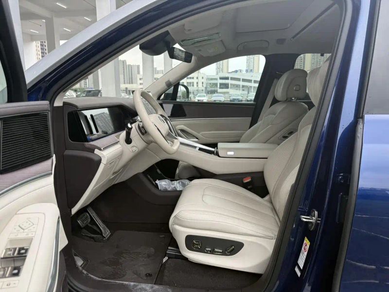 Denza n9