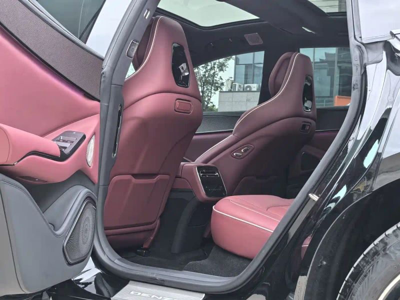 Denza z9gt