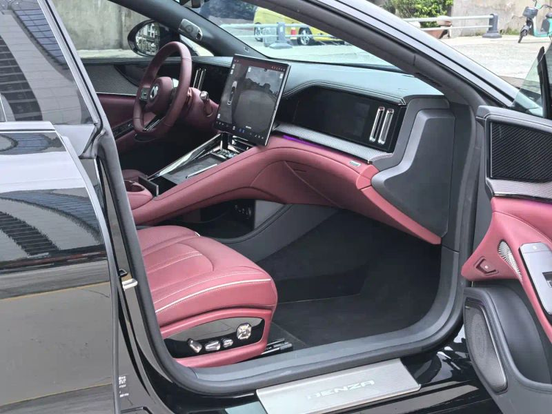 Denza z9gt