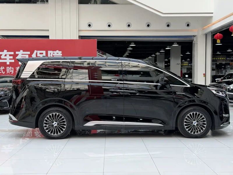 Denza d9