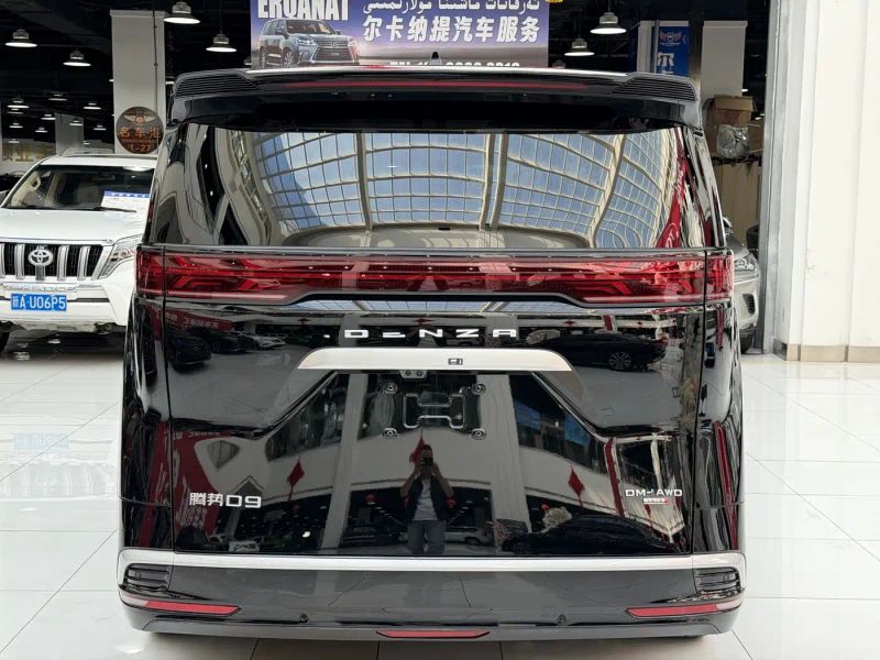 Denza d9