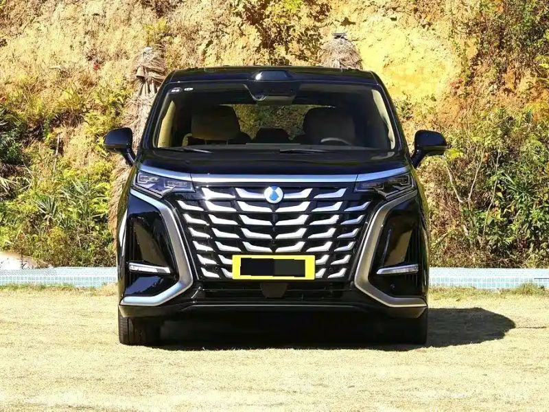 Denza d9