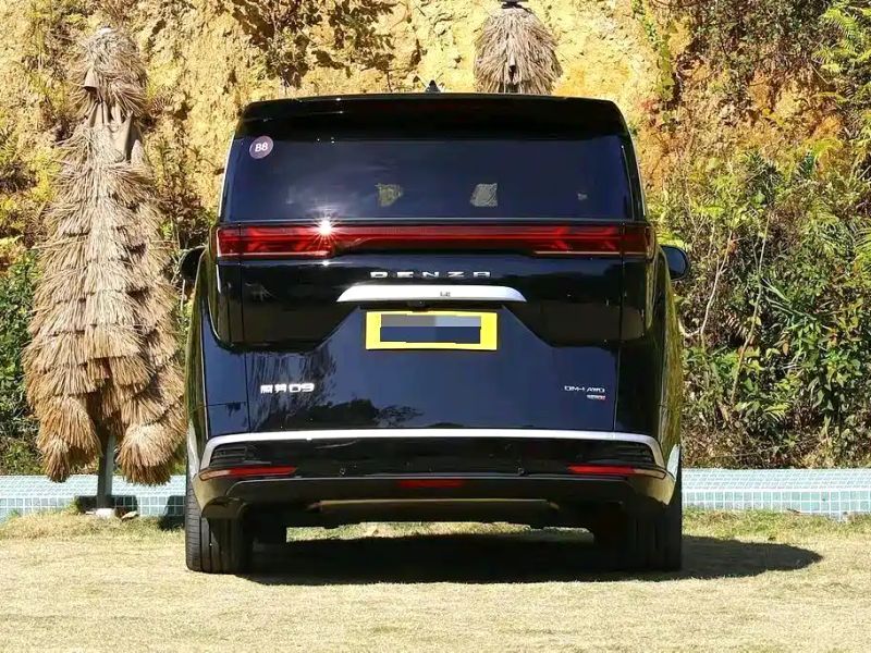 Denza d9