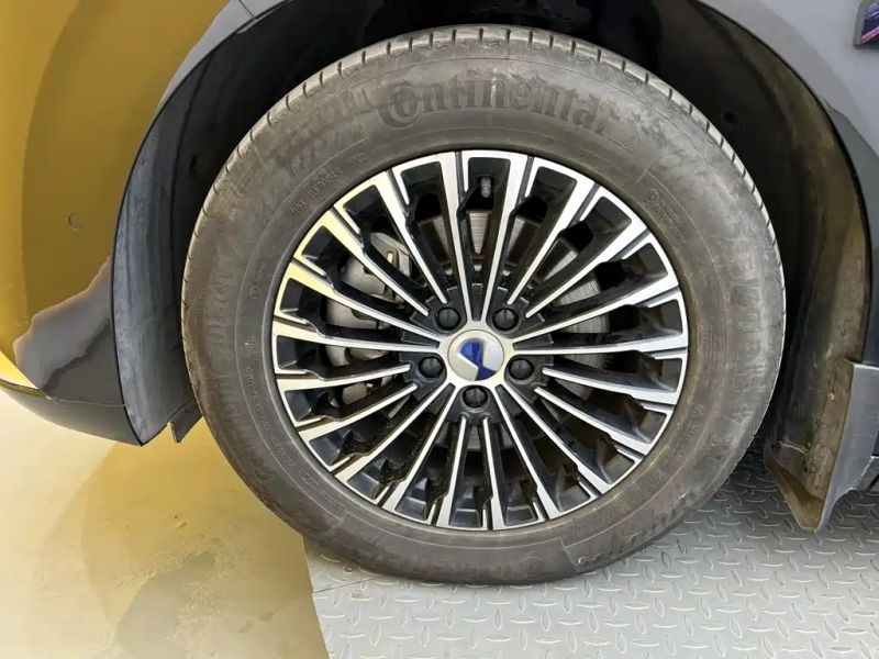 Denza d9