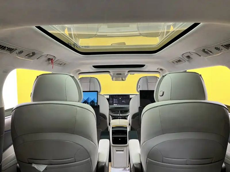 Denza d9
